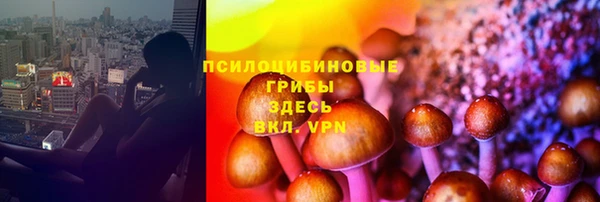 герыч Белокуриха
