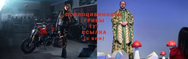 ПСИЛОЦИБИНОВЫЕ ГРИБЫ Сосновоборск