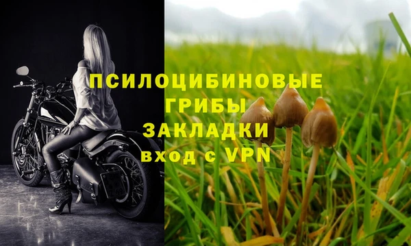 экстази Сосновка